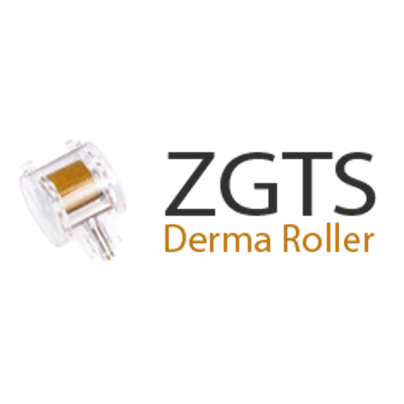ZGTS logo